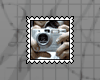 {T}cam stamp