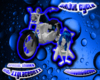 Tribal Cycle
