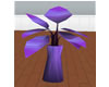 shaytonian plant