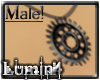 [*L] Anodized SGN -M-