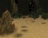 MoonLight Forest