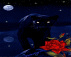 ~WT07~Panther Rose