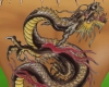 ^mtn_BrownDragonTattooM