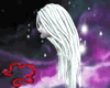 Aaurora