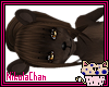 Brown Bear Bundle [F]
