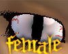 Large Slit Eyes F