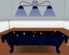 BSG Pool Table-Poses