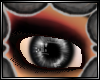 :T: eyed emotion~glam