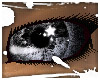 Moonlight Eyes