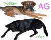 My Buddies