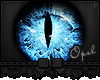 `O� Feline | Ice