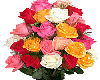 Roses