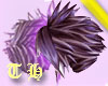 Violent Violet