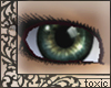 Forest Eyes