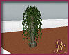 DJL - Ivy Floor Plant
