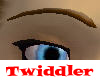 Bevel Eyebrows Cocoa