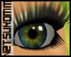 *N* The Eyes of Earth