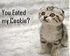 cooki