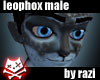 Leophox (M)