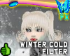 BFX Winter Cold Filter