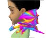 rainbow drako