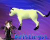 [kr] kirara cat pet