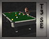 T3 LeatherBound PoolTble