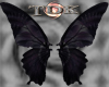 Fantasy Butterfly Wings