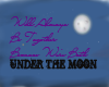 Under The Moon