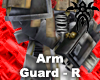 Grey Knight B. - AGR
