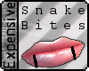 [EX]Black SnakeBites