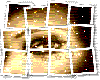 picture eye