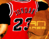 (e) Jordan Rookie Jersey