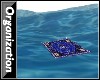 Flying Over Water