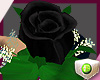 ROSE black