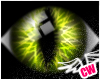 *Cat Eyes* Yellow