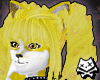 Custard Lolicurls