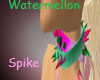 *MET Watermellon Spike C
