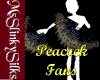 (MSS) Peacock Fans