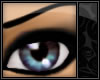 *Ss* Eyebrows Blk