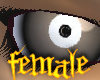 PHz ~ Lrg Dilated Eyes F