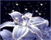 Fairy Dust Portable BG