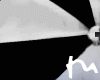 The grey umbrella