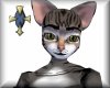 Tigerstripped Cat Ears
