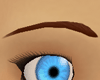 Brunette Eyebrows