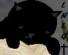 � Midnight Sleepy Kitty