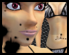 [G] Seci Skin