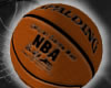 (e) Official Basketball