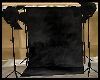 Black Photo Shoot