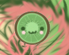 cutest kiwi
